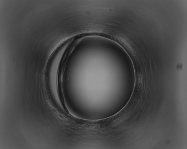 X0000091670676200708301500