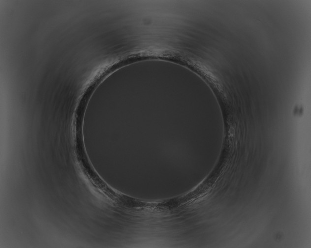 X0000091670678200708301500