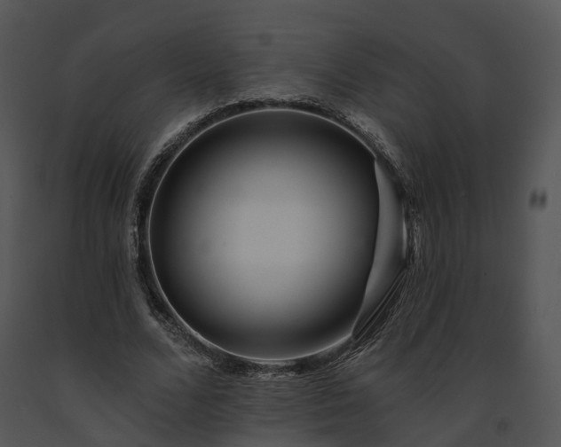 X0000091670680200708301500