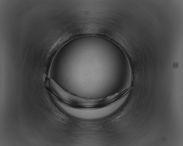 X0000091670681200708301500