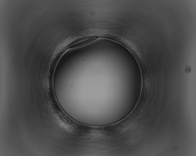 X0000091670682200708301500