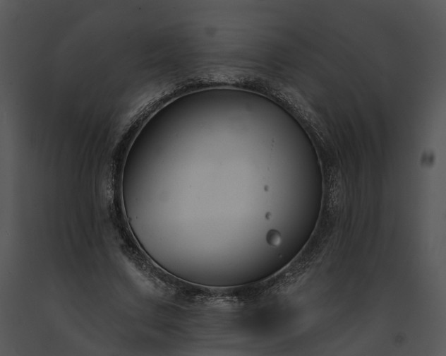X0000091670683200708301500