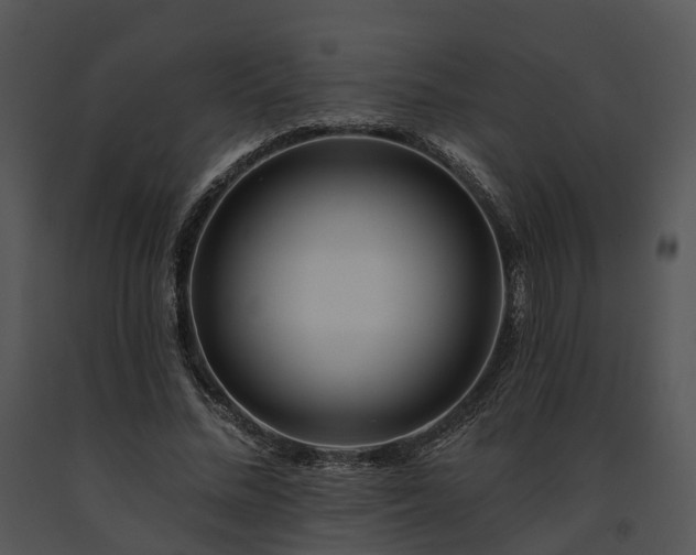 X0000091670684200708301500