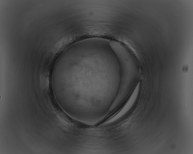 X0000091670685200708301500