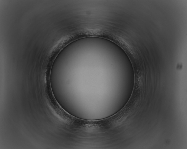 X0000091670686200708301500