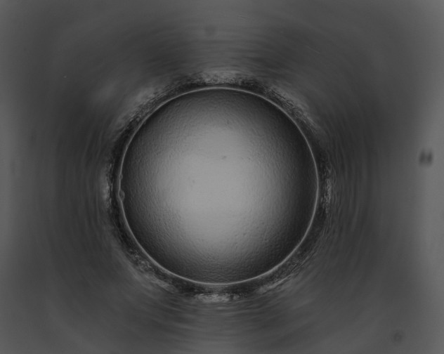 X0000091670687200708301500