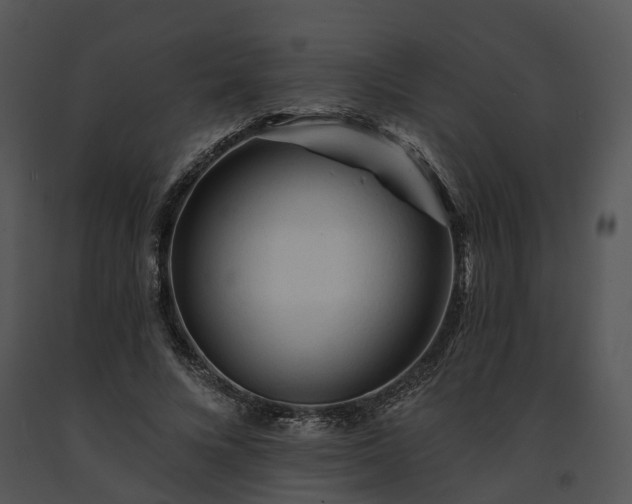 X0000091670688200708301500