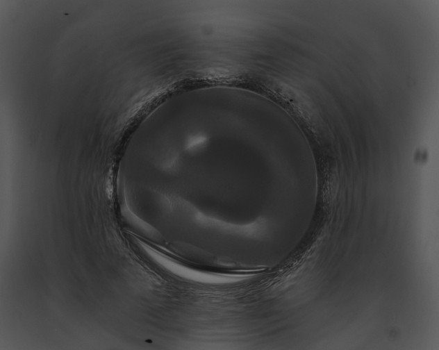 X0000091670689200708301500
