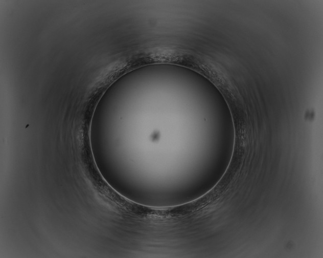 X0000091670690200708301500