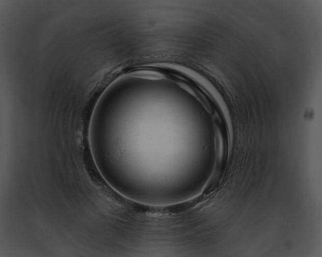 X0000091670693200708301459