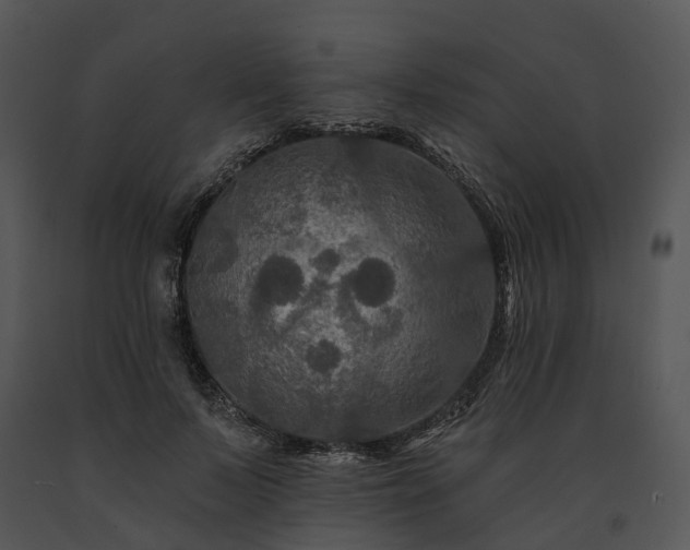 X0000091670695200708301459