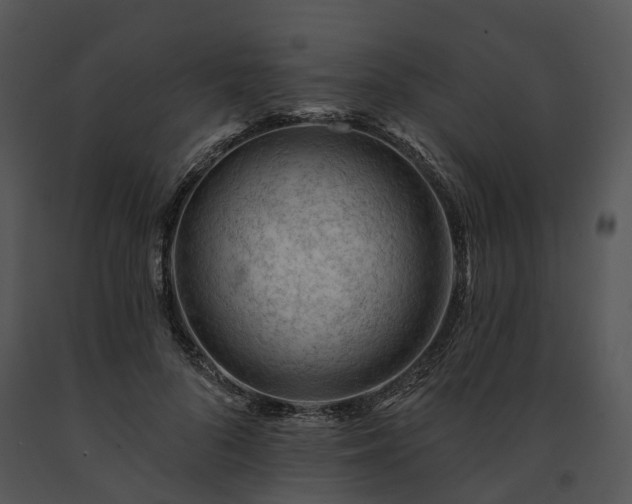 X0000091670696200708301459