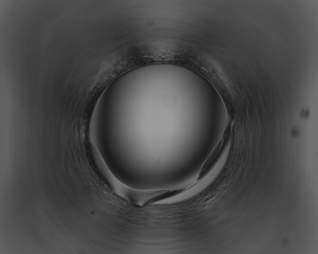 X0000091670697200708301459