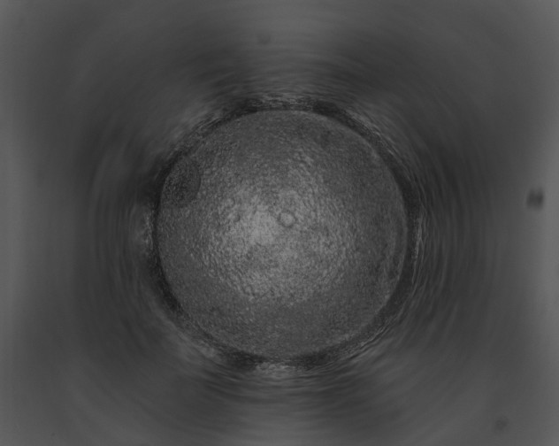 X0000091670699200708301459