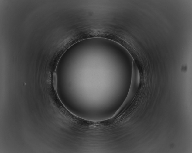 X0000091670700200708301459