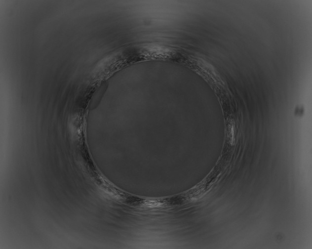 X0000091670701200708301459