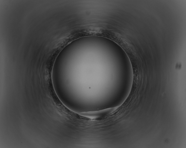 X0000091670704200708301459