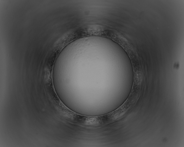X0000091670705200708301459