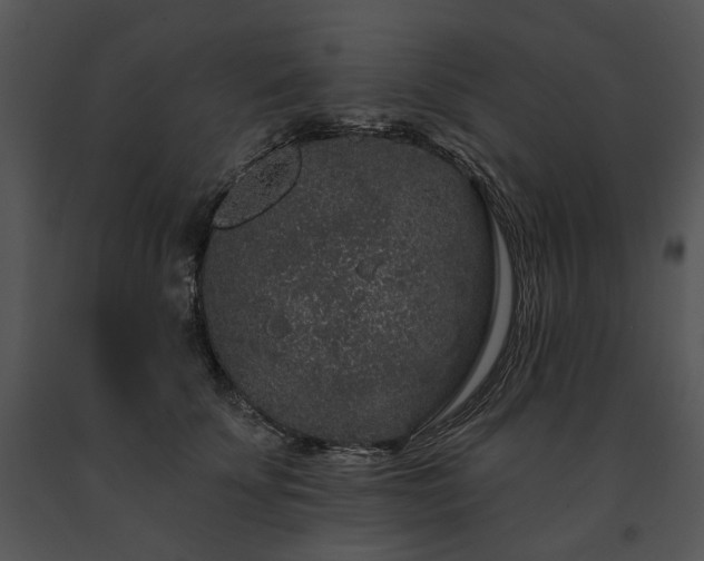 X0000091670707200708301459