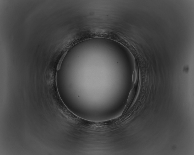X0000091670708200708301459