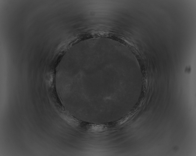 X0000091670709200708301459
