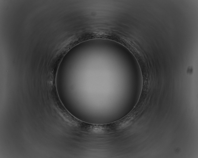 X0000091670710200708301459
