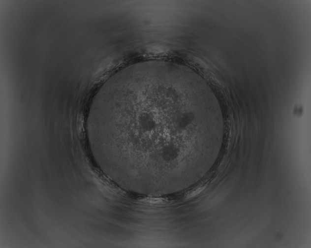 X0000091670711200708301459