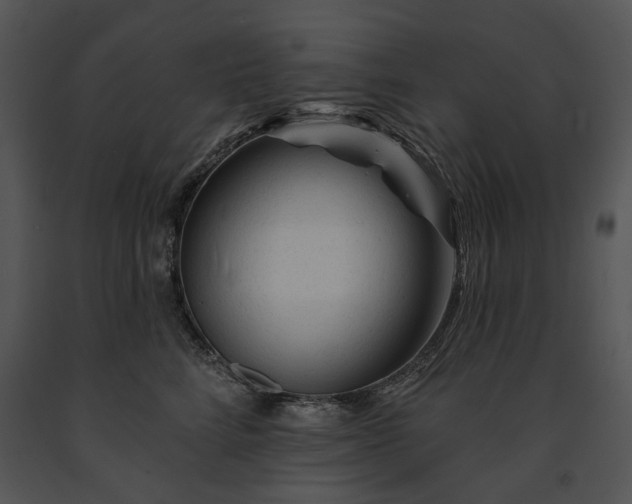 X0000091670712200708301459
