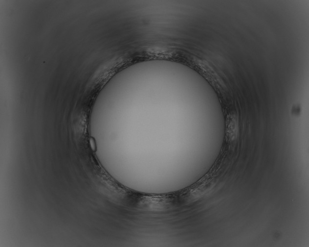 X0000091670713200708301459