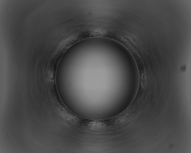 X0000091670714200708301459
