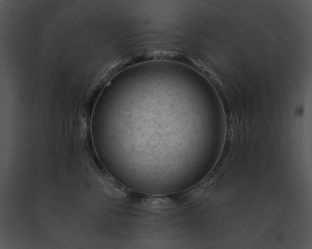 X0000091670716200708301459