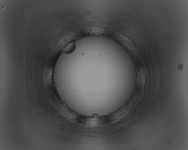 X0000091670717200708301459