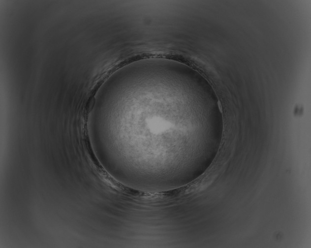 X0000091670720200708301459