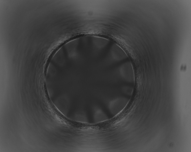 X0000091670721200708301459