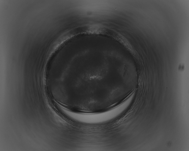 X0000091670722200708301459