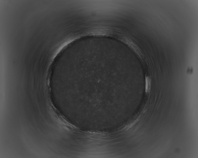 X0000091670723200708301459