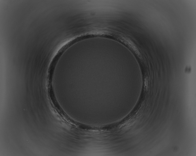 X0000091670724200708301459