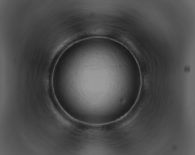 X0000091670725200708301459
