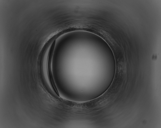 X0000091670727200708301459