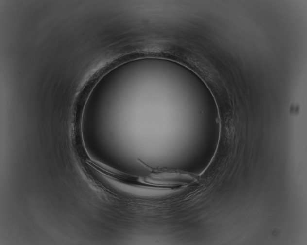 X0000091670728200708301459