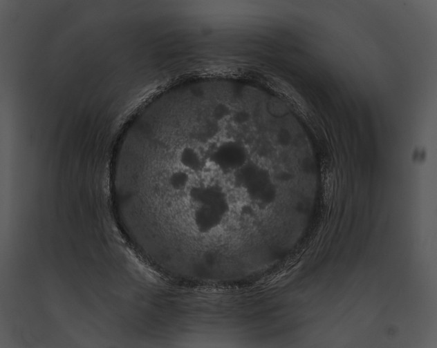 X0000091670729200708301459