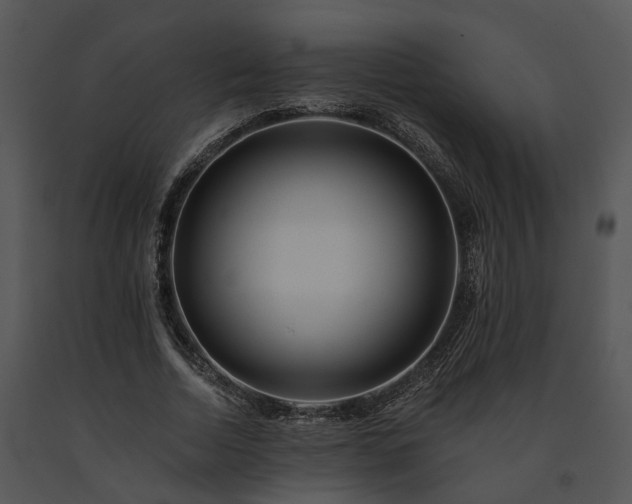 X0000091670730200708301459