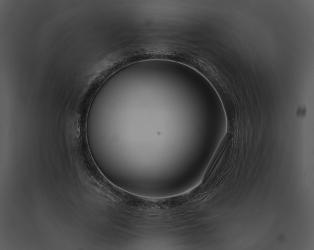 X0000091670731200708301459