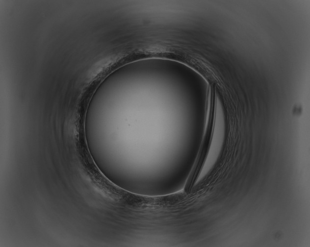 X0000091670732200708301459