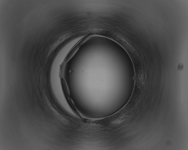 X0000091670734200708301459