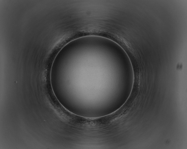 X0000091670735200708301459