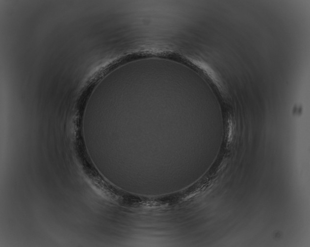 X0000091670736200708301459