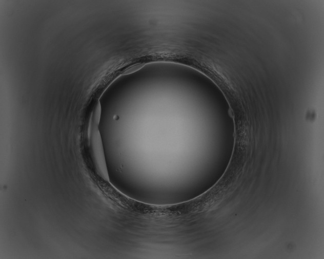 X0000091670738200708301459