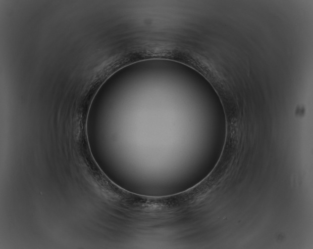X0000091670741200708301459