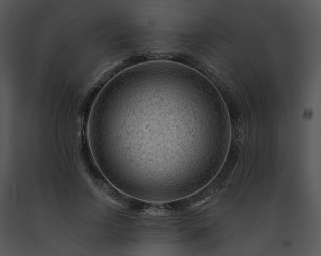 X0000091670742200708301459